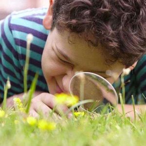 006 | 自然教育，从观察一棵树开始