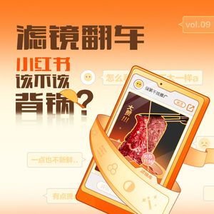 Vol.09 滤镜翻车,小红书该不该背锅?