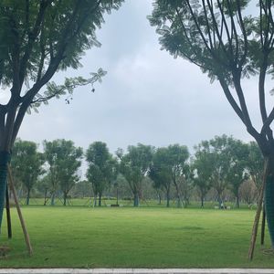 理响谈—停更可爱的本周