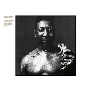 理响谈—Muddy Waters—我即布鲁斯