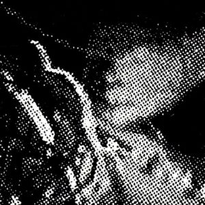 理响谈—Yelllow Swans—完结的寻人启事