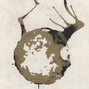 理响谈—柳川芳命—看得见的和看不见的