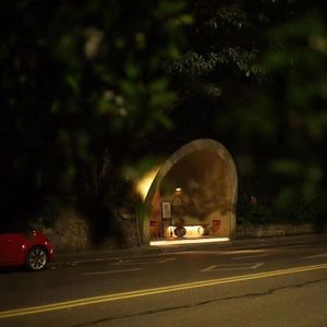 理响谈 X Caver—两周年的乱摆(嘉宾:狗哥、爽姐、鱼姐、薄荷