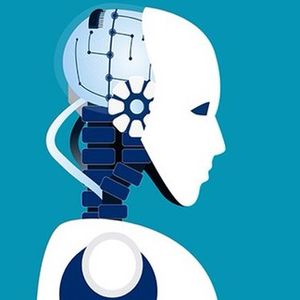 通往性别平等的算法世界