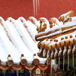 王亚明×张剑葳：故宫再发现