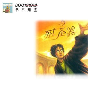 E04.《哈利·波特》(下)|那几年,我与吧友共读《哈利·波特》