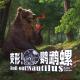 DND5E模组评测：从10/10跌落至5/10只需要一章【变形!鹦鹉螺#67】