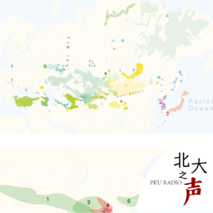 揭秘一篇Nature文章的幕后：历时4年的跨学科研究