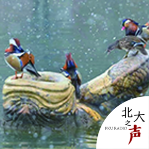 2021 ep86 石缘多舛∶飘零辗转，邂逅燕园