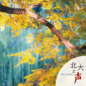 为你读书｜罗新：北大历史学家的写作与旅行