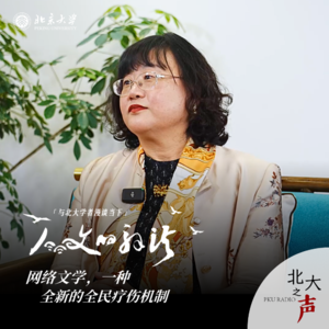 别再骂爽文“无脑”了！北大中文系邵燕君老师：文学满足情感需求本身就是一件有意义的事