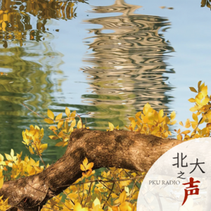 为你读诗｜求索宇宙的学者诗人——林庚