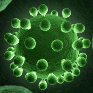 【现场第一声】| 深度采访：新冠病毒研究者陆剑老师