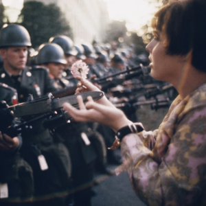 晚间诗汇 | 天涯静处无征战