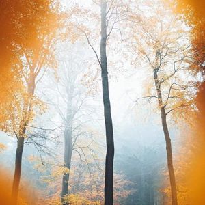 傍晚旅人 | 生活中的小确幸