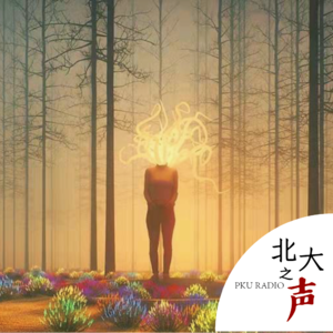 “魏”观竞技，秀场脉动｜专访北大心理学副教授Dr.魏