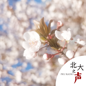 二十四节气｜清明 · 回暖时