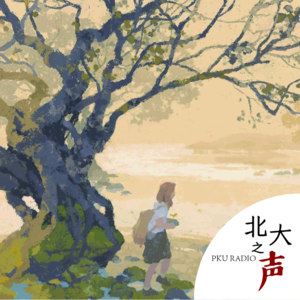 2021 ep78 《走不出的风景》：苏力教授的致辞与修辞，热爱与责任