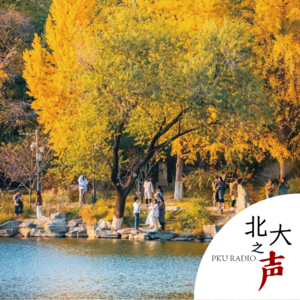 特别节目｜北大开了一门游戏课！（上）