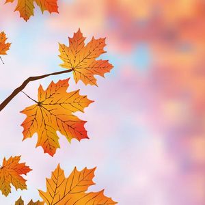 傍晚旅人 | 我从坑里来（三）