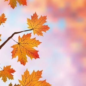 傍晚旅人 | 我从坑里来（二）