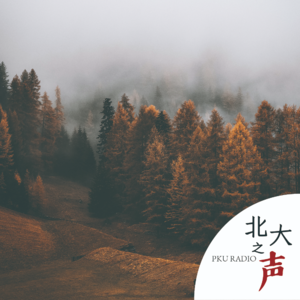 二十四节气｜霜降 · 秋暮曲