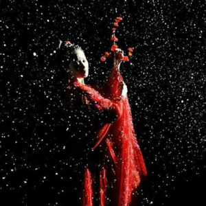 追影者 | 为有源头活水来