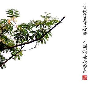 文海星空 | 我与地坛