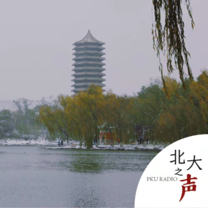 2021 ep82 关于博雅塔是水塔这件事