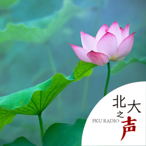 二十四节气｜大暑：逐光行