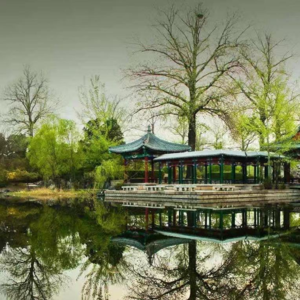 追影者 | 如果重来