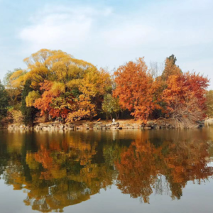 追影者 | 秋天的故事
