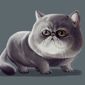 追影者 | 如果我们够傻