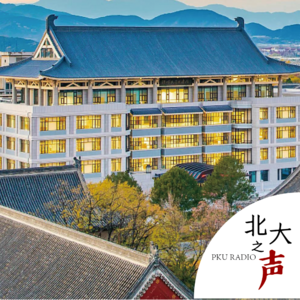 声音剧场｜如果有一天，你听见了他们的声音