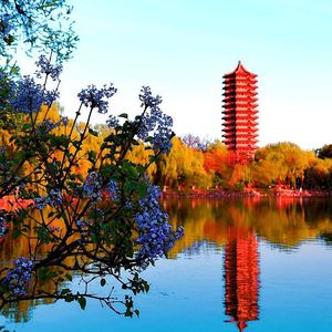 燕园聚焦 | 杰出人物