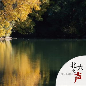 为你读诗｜南星的清郁低语