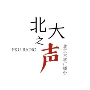 2021 ep3 北大音乐人：New Grammar 乐队的故事与成长