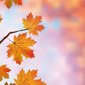 傍晚旅人 | 我从坑里来（一）