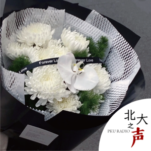 陪你读书｜《边城》