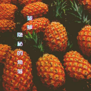 2021 ep19 隐秘的“菠萝”：去湛江爬山吗？那里有徐闻菠萝哦