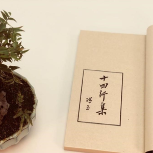 2021 ep53 北大诗人冯至：勇于承担生命的重负