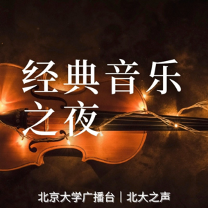 经典音乐之夜 Vol.5 中国当代影视剧配乐赏析