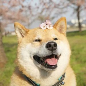 今天开心点