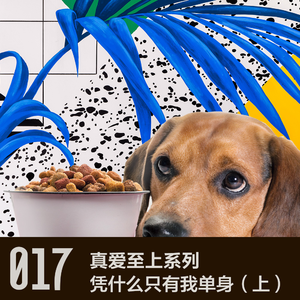 vol 17 凭什么只有我单身（上）