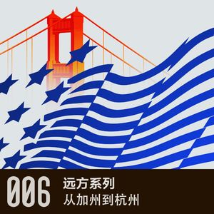 vol 6 从加州到杭州设计漫谈