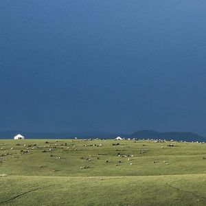 vol.7 读几首自己的诗吧