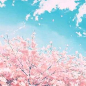 vol.6 一起聊聊日本流行音乐