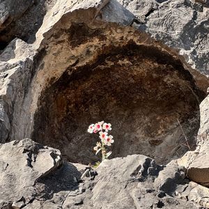 No.39-【旅行笔记】之生日月 别忘了 到新世界去