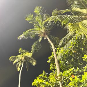 No.34-【旅行笔记】之沙巴芭提雅 阳光热辣辣