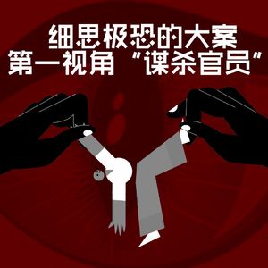 vol.005 细思极恐的大案，高智商罪犯第一视角“谋杀官员”